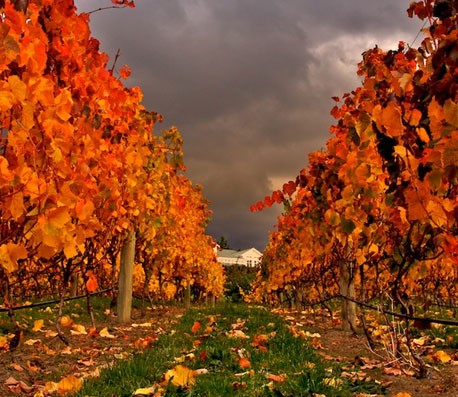 在线呼死你轰炸