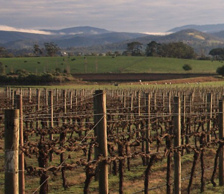 免费呼叫轰炸神器网页版